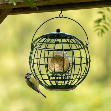CJ Wildlife - London Squirrel Resistant Peanut Butter Feeder